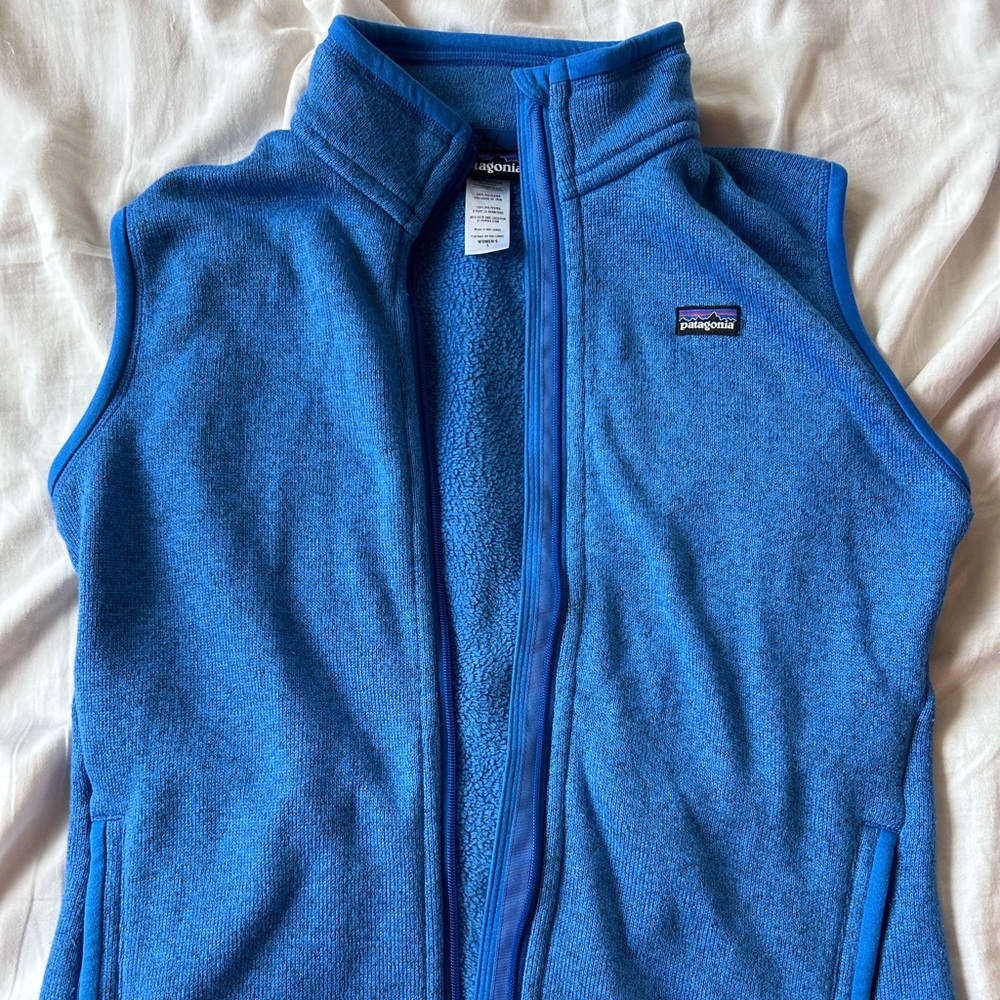Blue Patagonia Vest